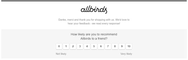 Allbirds review by email