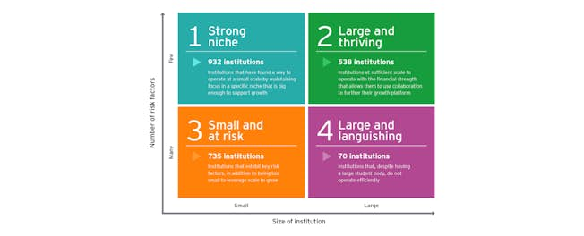 Ernst & Young four categories for partnerships