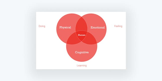 Figure 2b: Human insight sources