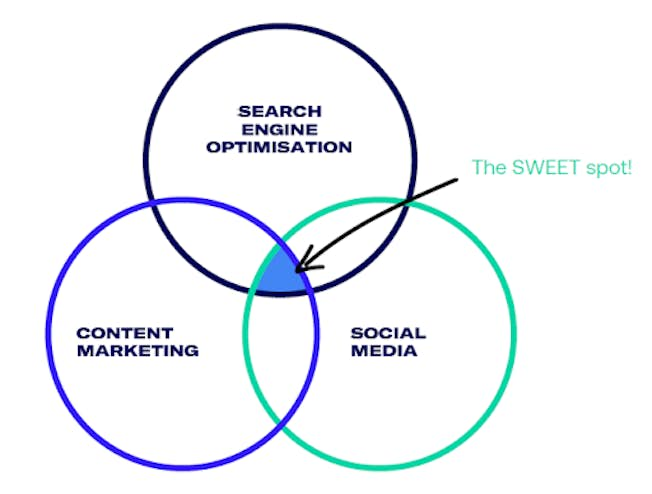 5 Ways to Maximize SEO and Social Media