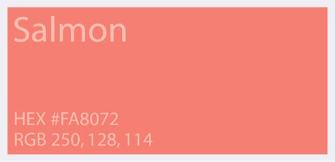 Graphic Design Intro 2: Brand Style Guide