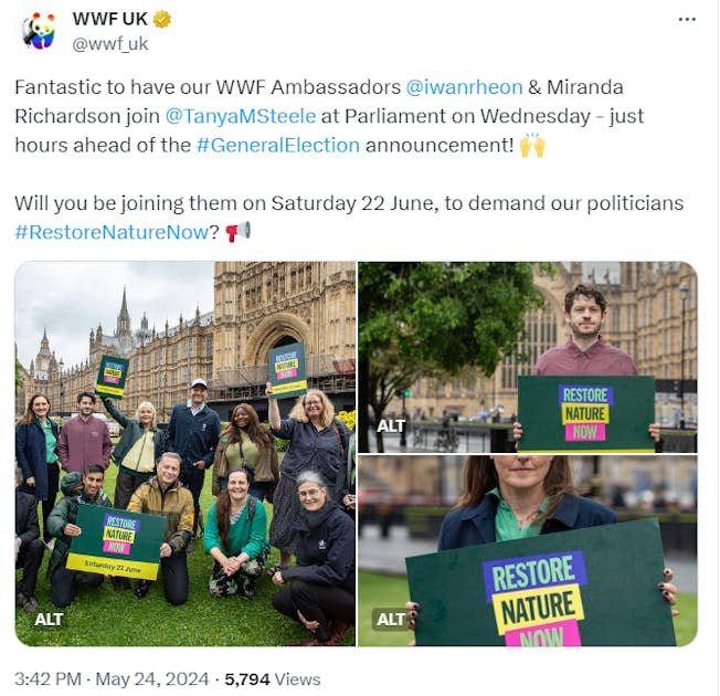 How to Create the Ultimate Social Media Marketing Strategy that Drives Brand Awareness & ROI WWF post