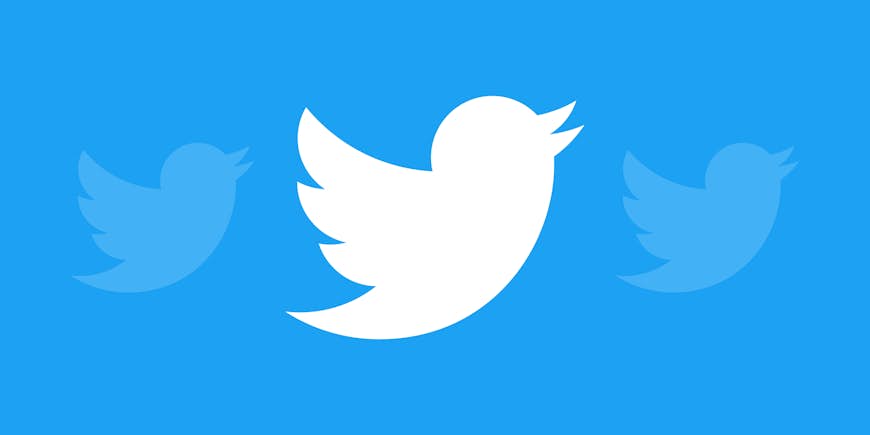 Tweet Tweet: The Evolution and Future of Twitter