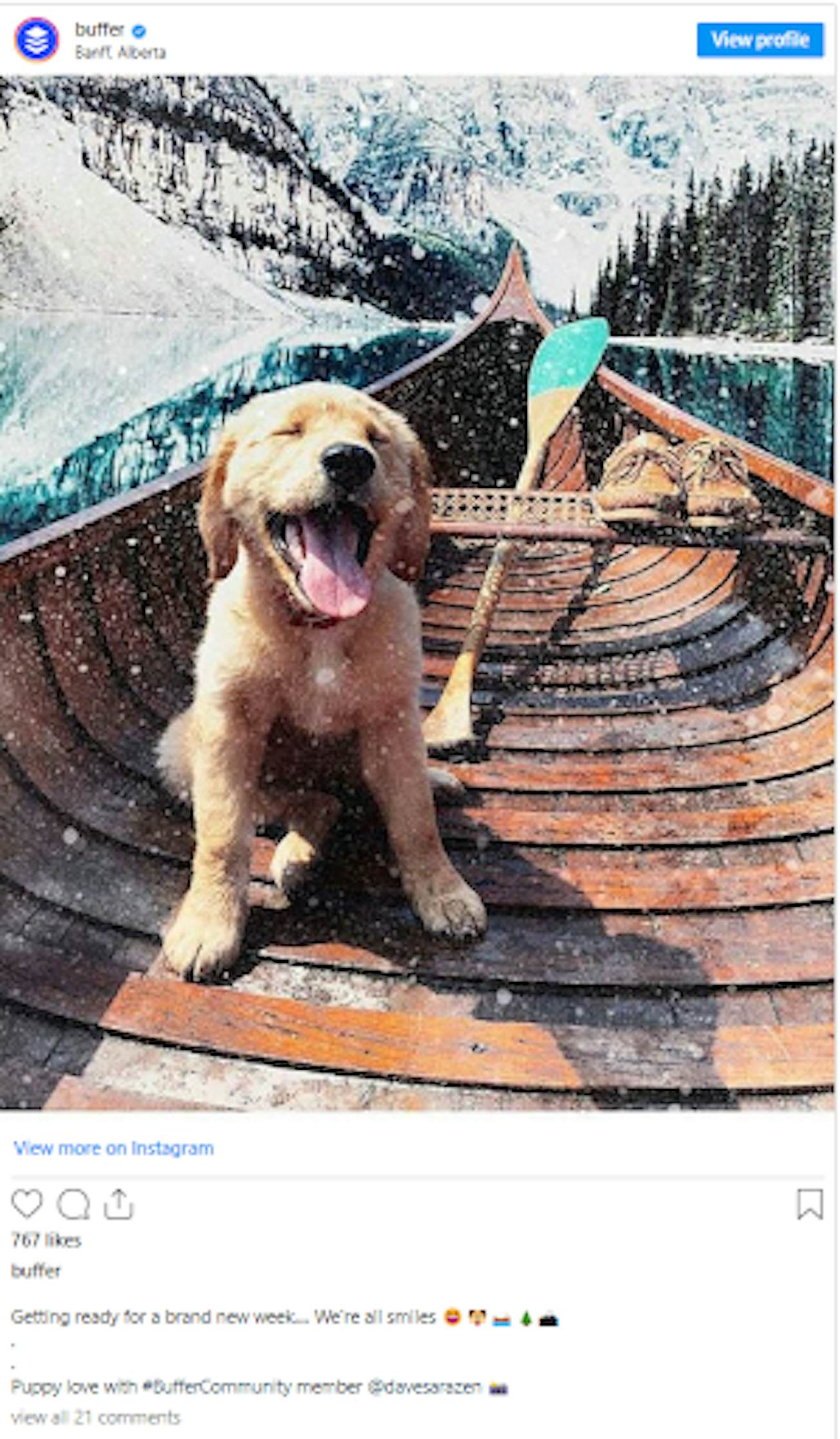 4 Great Examples of User-Generated Content (UGC) | Digital Marketing ...